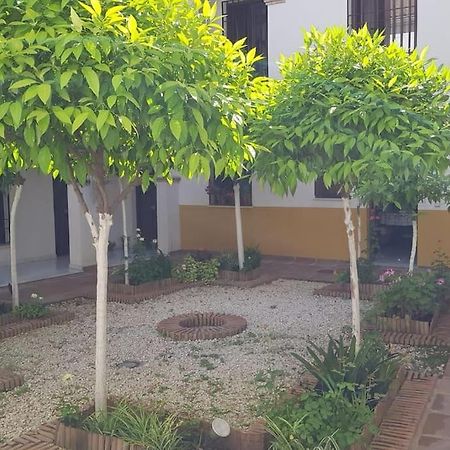 Precioso Apartamento Junto A Plaza La Corredera Cordoba Ngoại thất bức ảnh